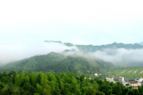 “抹茶全產(chǎn)業(yè)鏈關(guān)鍵技術(shù)與裝備創(chuàng)新及應(yīng)用”項(xiàng)目科技成果評價會召開